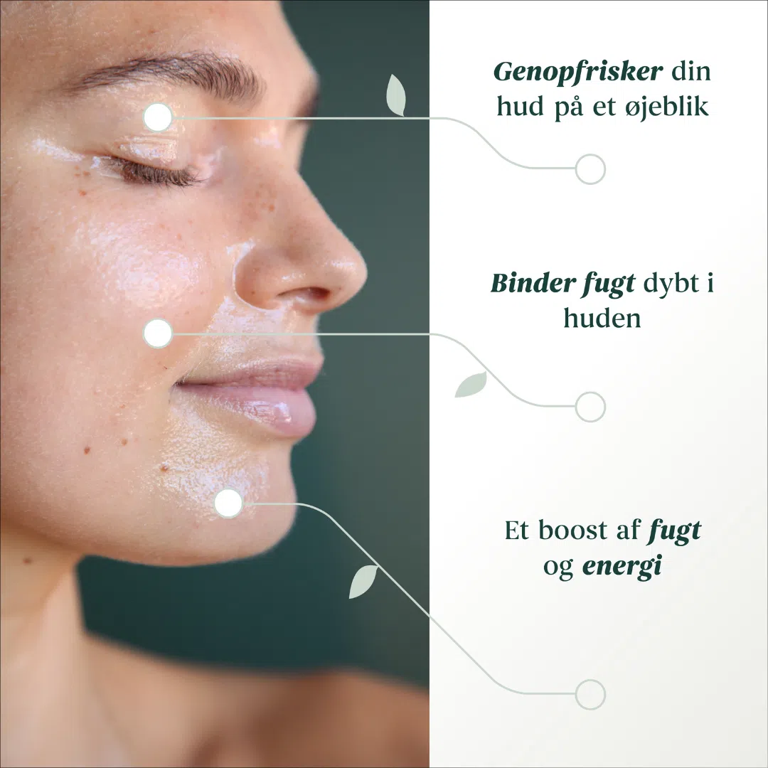 Hydrating mist moisturizer toner dry skin